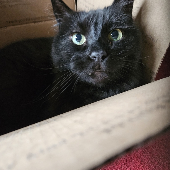 Happy valentines day! See you next week! Like my new show listing! - Picture 15 of 16